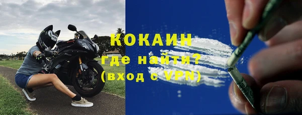 шишки Алексин