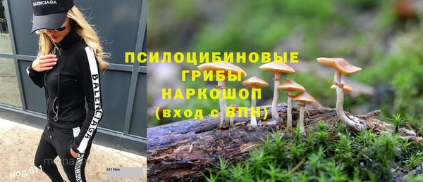ешки Алзамай