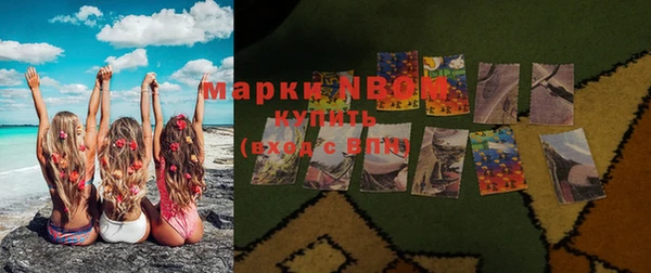 шишки Алексин