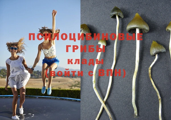 скорость Заволжск