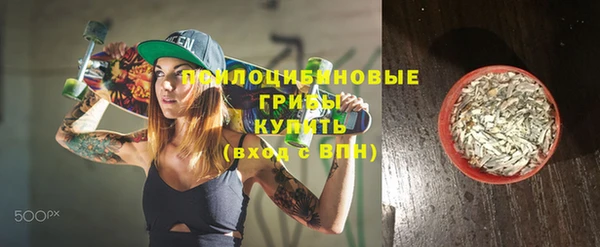 ПСИЛОЦИБИНОВЫЕ ГРИБЫ Алексеевка